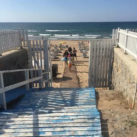 Live Asist Bungolov Beach / Canli Orman
