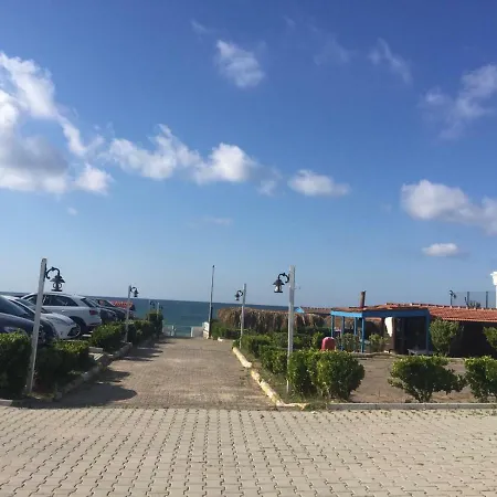 Live Asist Bungolov Beach / Canli Orman