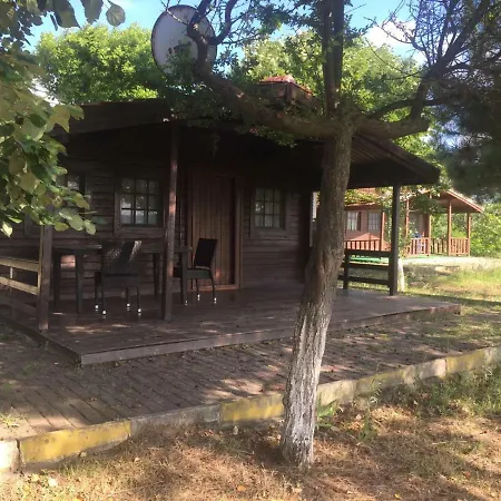 Live Asist Bungolov Beach / Canli Orman Ağva