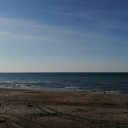 Live Asist Bungolov Beach / Canli Orman *