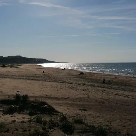 Live Asist Bungolov Beach / Canli Orman Gasthuis Ağva