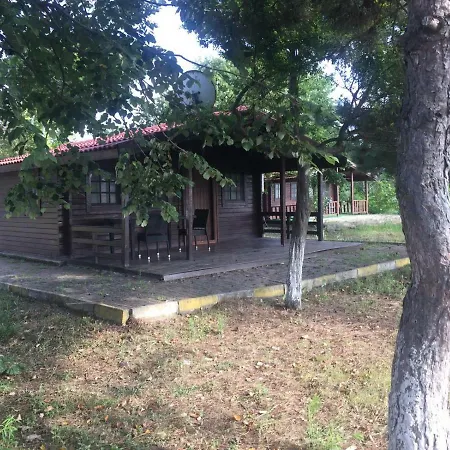 Live Asist Bungolov Beach / Canli Orman Шиле