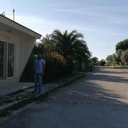 Live Asist Bungolov Beach / Canli Orman Шиле