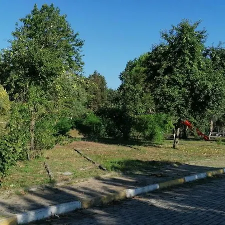 Live Asist Bungolov Beach / Canli Orman Гостевой дом Шиле